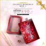 luxury gift Taurus Vase Box1